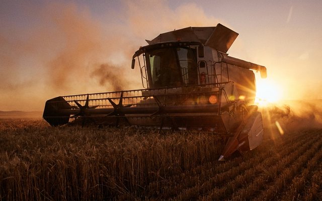 Combine harvester in a field
